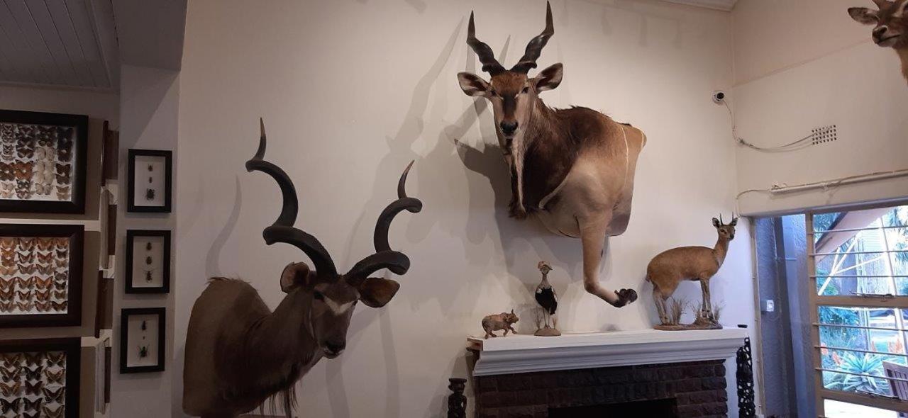 Afton Safari Lodge Kempton Park Buitenkant foto